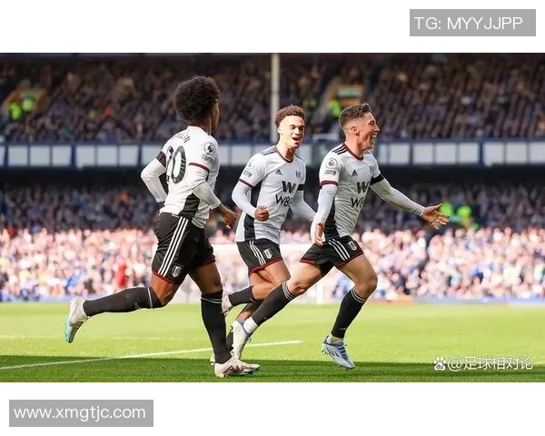 狼队连败真相揭秘：深度分析这支球队在英超的困境与未来出路